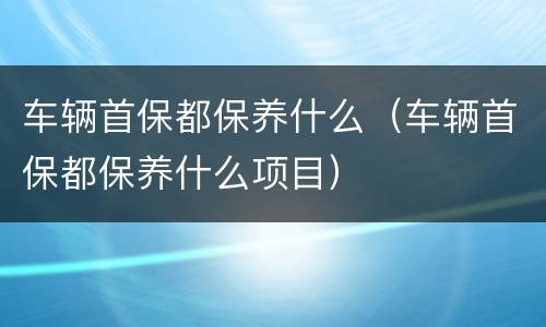 车辆首保都保养什么（车辆首保都保养什么项目）
