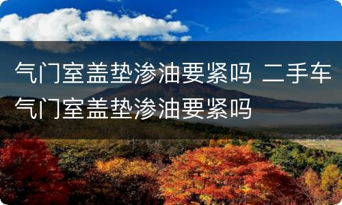 气门室盖垫渗油要紧吗 二手车气门室盖垫渗油要紧吗