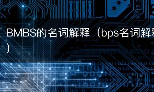 BMBS的名词解释（bps名词解释）