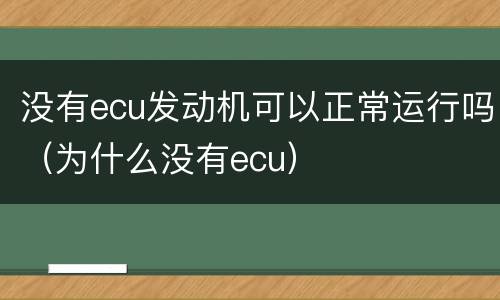 没有ecu发动机可以正常运行吗（为什么没有ecu）
