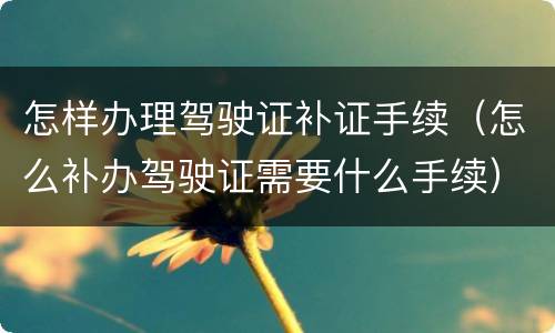 怎样办理驾驶证补证手续（怎么补办驾驶证需要什么手续）