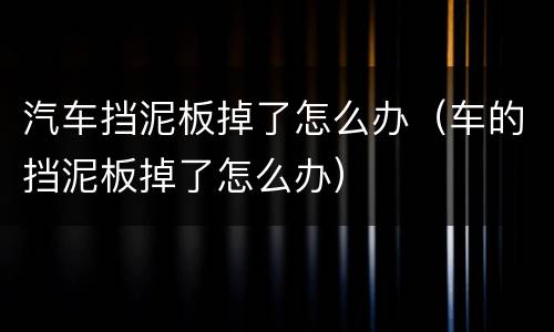 汽车挡泥板掉了怎么办（车的挡泥板掉了怎么办）