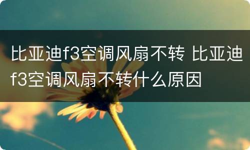 比亚迪f3空调风扇不转 比亚迪f3空调风扇不转什么原因
