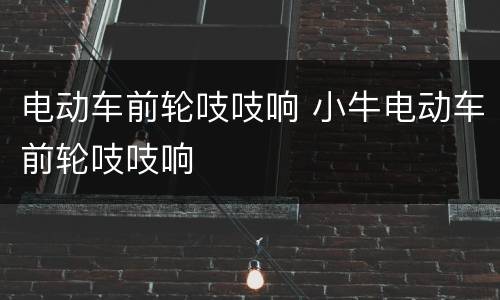 电动车前轮吱吱响 小牛电动车前轮吱吱响