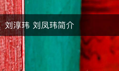 刘淳玮 刘凤玮简介
