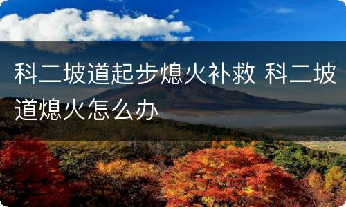 科二坡道起步熄火补救 科二坡道熄火怎么办