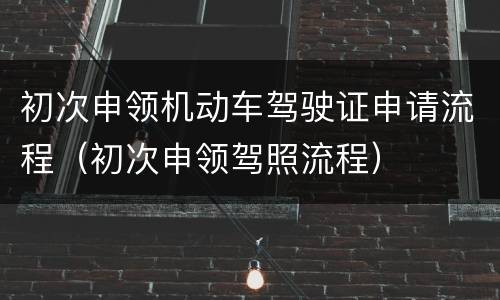 初次申领机动车驾驶证申请流程（初次申领驾照流程）
