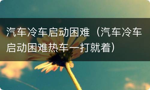汽车冷车启动困难（汽车冷车启动困难热车一打就着）