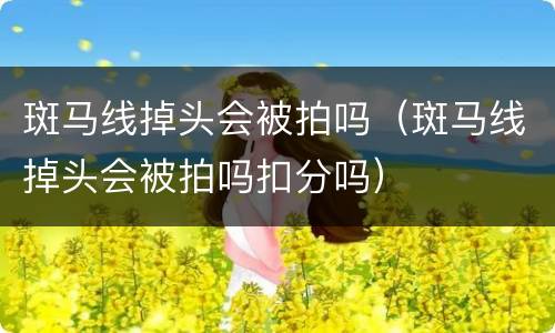斑马线掉头会被拍吗（斑马线掉头会被拍吗扣分吗）