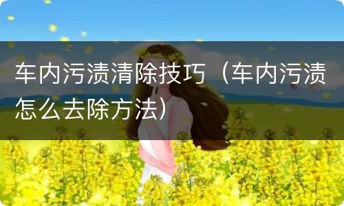 车内污渍清除技巧（车内污渍怎么去除方法）
