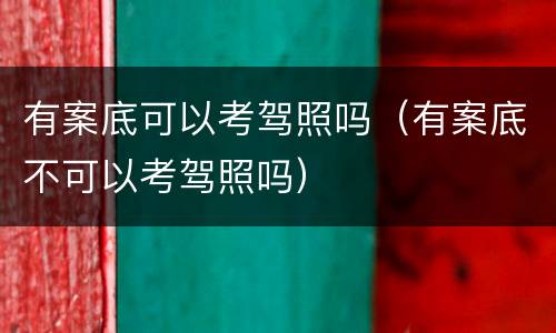 有案底可以考驾照吗（有案底不可以考驾照吗）