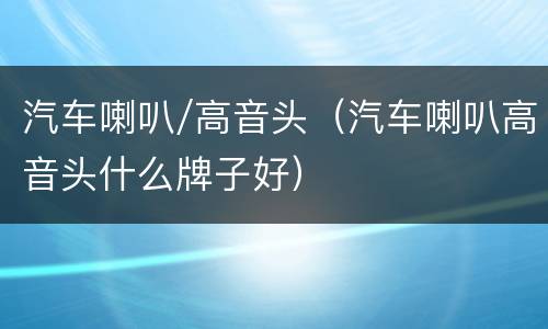 汽车喇叭/高音头（汽车喇叭高音头什么牌子好）