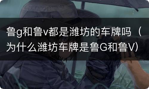 鲁g和鲁v都是潍坊的车牌吗（为什么潍坊车牌是鲁G和鲁V）