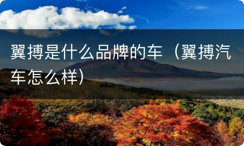 翼搏是什么品牌的车（翼搏汽车怎么样）