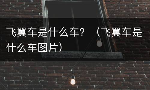 飞翼车是什么车？（飞翼车是什么车图片）