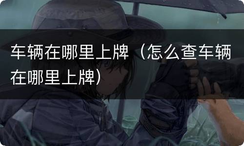 车辆在哪里上牌（怎么查车辆在哪里上牌）