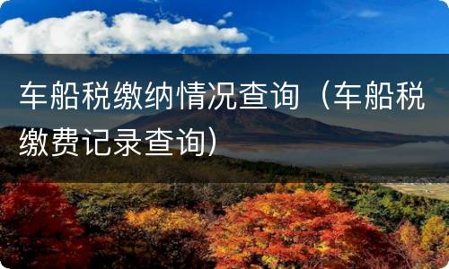 车船税缴纳情况查询（车船税缴费记录查询）