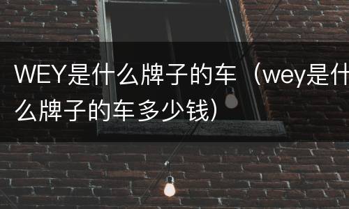 WEY是什么牌子的车（wey是什么牌子的车多少钱）
