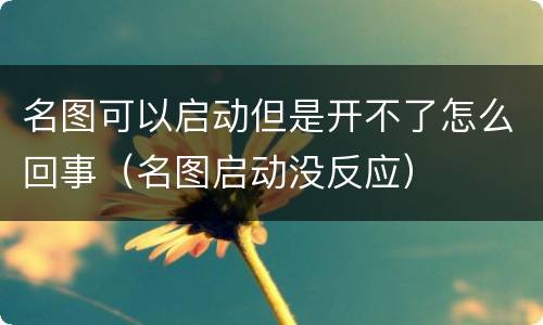 名图可以启动但是开不了怎么回事（名图启动没反应）