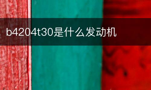 b4204t30是什么发动机