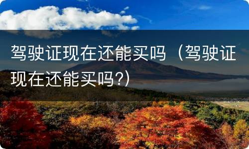 驾驶证现在还能买吗（驾驶证现在还能买吗?）