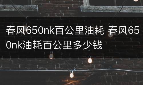 春风650nk百公里油耗 春风650nk油耗百公里多少钱