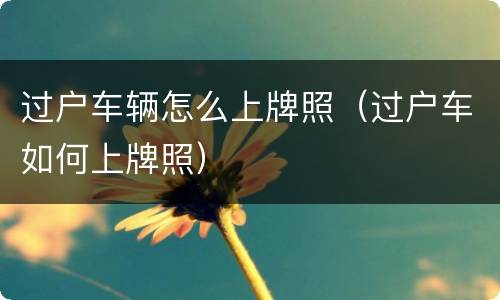过户车辆怎么上牌照（过户车如何上牌照）