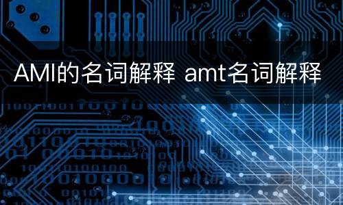 AMI的名词解释 amt名词解释