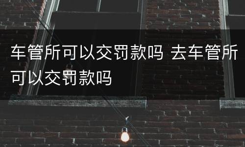 车管所可以交罚款吗 去车管所可以交罚款吗