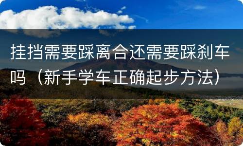 挂挡需要踩离合还需要踩刹车吗（新手学车正确起步方法）