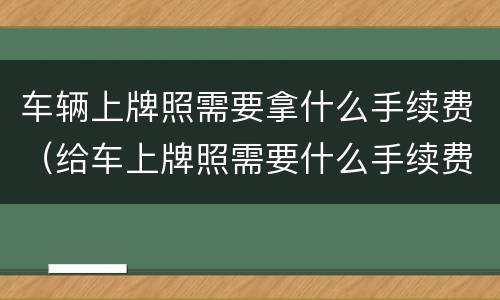 车辆上牌照需要拿什么手续费（给车上牌照需要什么手续费）
