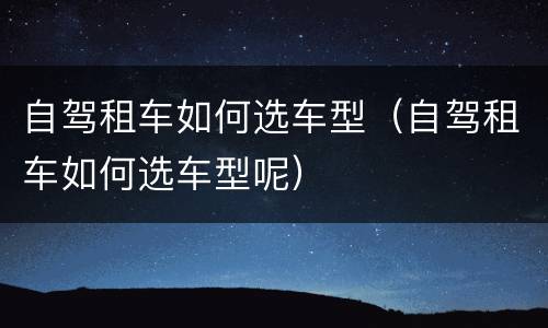 自驾租车如何选车型（自驾租车如何选车型呢）