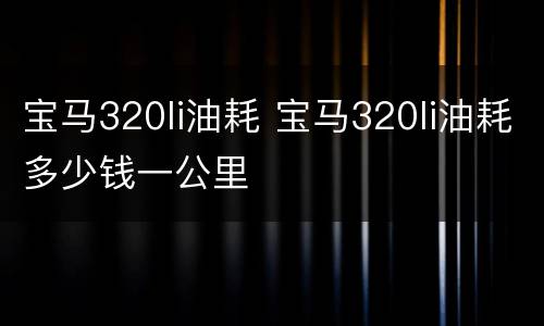宝马320li油耗 宝马320li油耗多少钱一公里