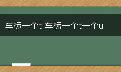 车标一个t 车标一个t一个u