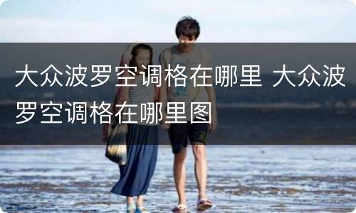 大众波罗空调格在哪里 大众波罗空调格在哪里图