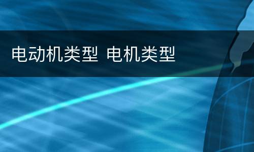 电动机类型 电机类型