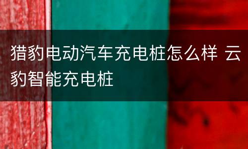 猎豹电动汽车充电桩怎么样 云豹智能充电桩