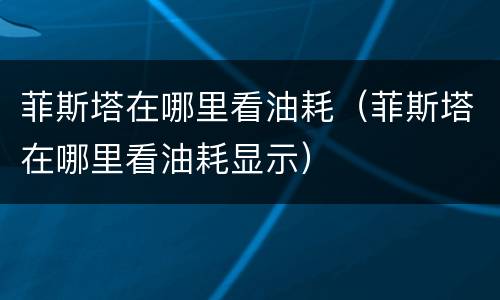 菲斯塔在哪里看油耗（菲斯塔在哪里看油耗显示）