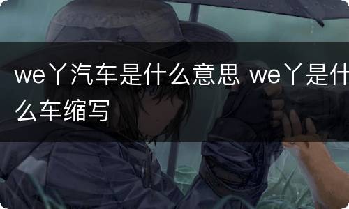 we丫汽车是什么意思 we丫是什么车缩写