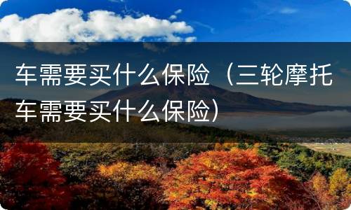 车需要买什么保险（三轮摩托车需要买什么保险）