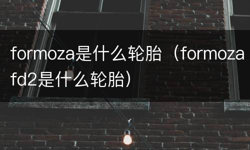 formoza是什么轮胎（formozafd2是什么轮胎）