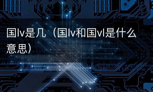 国lv是几（国lv和国vl是什么意思）