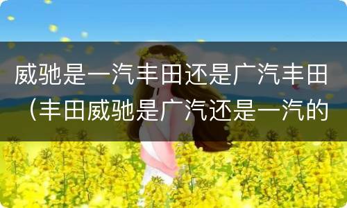 威驰是一汽丰田还是广汽丰田（丰田威驰是广汽还是一汽的）