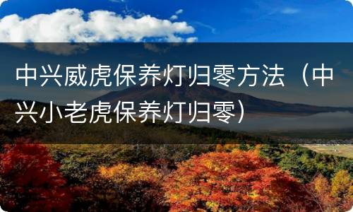 中兴威虎保养灯归零方法（中兴小老虎保养灯归零）