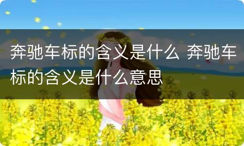奔驰车标的含义是什么 奔驰车标的含义是什么意思