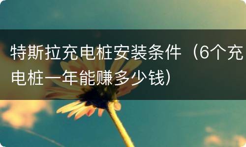 特斯拉充电桩安装条件（6个充电桩一年能赚多少钱）