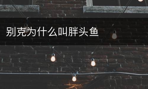 别克为什么叫胖头鱼