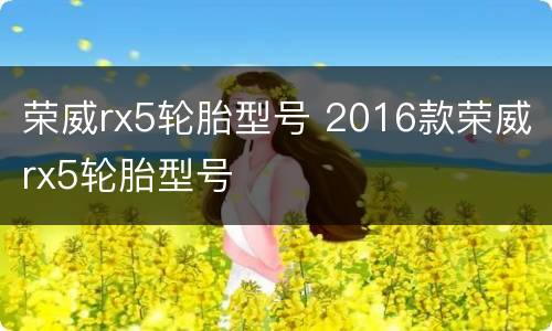 荣威rx5轮胎型号 2016款荣威rx5轮胎型号