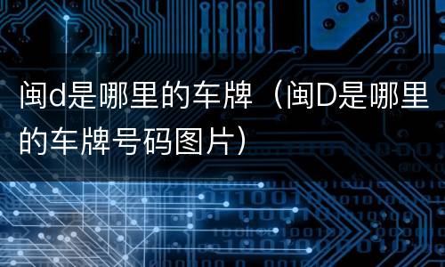 闽d是哪里的车牌（闽D是哪里的车牌号码图片）