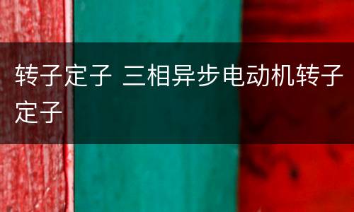转子定子 三相异步电动机转子定子